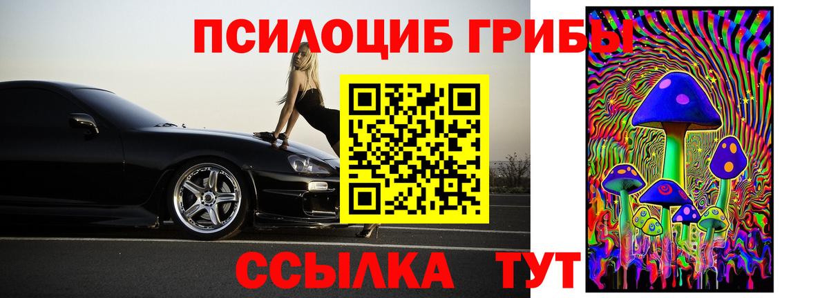 Псилоцибиновые грибы прущие грибы Петропавловск-Камчатский