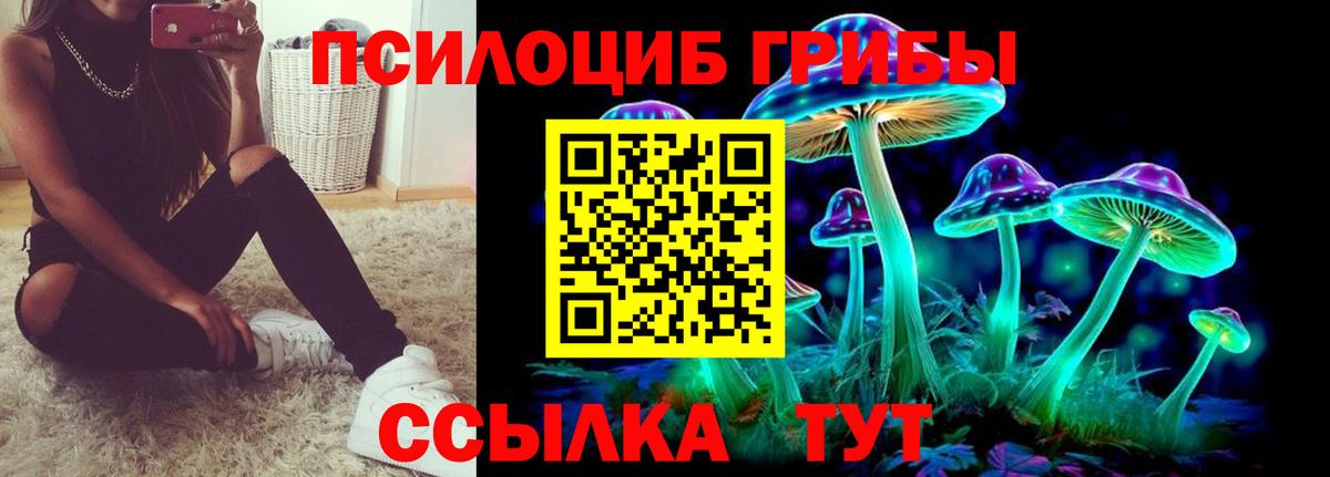Галлюциногенные грибы Psilocybe  Вход с VPN  Петропавловск-Камчатский 
